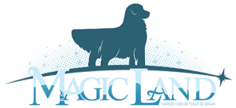 Canil Golden Retriever Curitiba - Magic Land Kennel